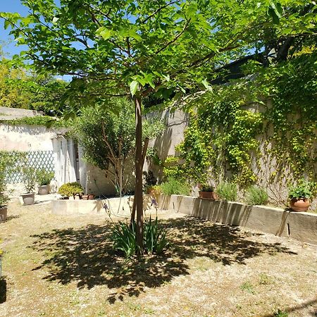 Appartement Au Coeur De Cassis Avec Jardin Luaran gambar