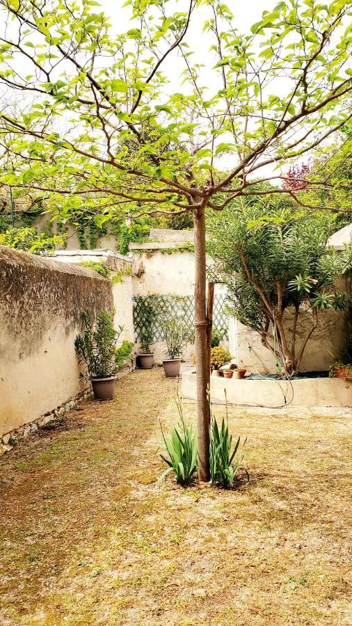 Appartement Au Coeur De Cassis Avec Jardin Luaran gambar