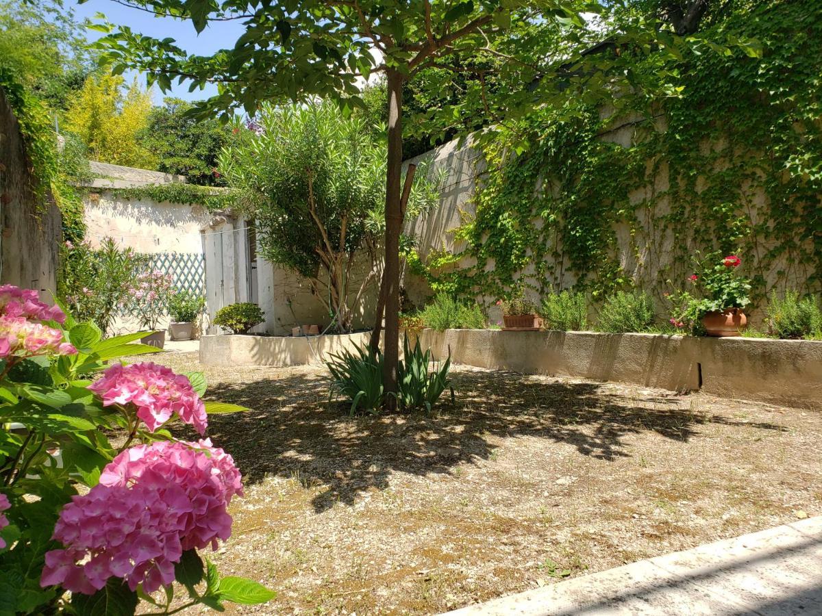 Appartement Au Coeur De Cassis Avec Jardin Luaran gambar